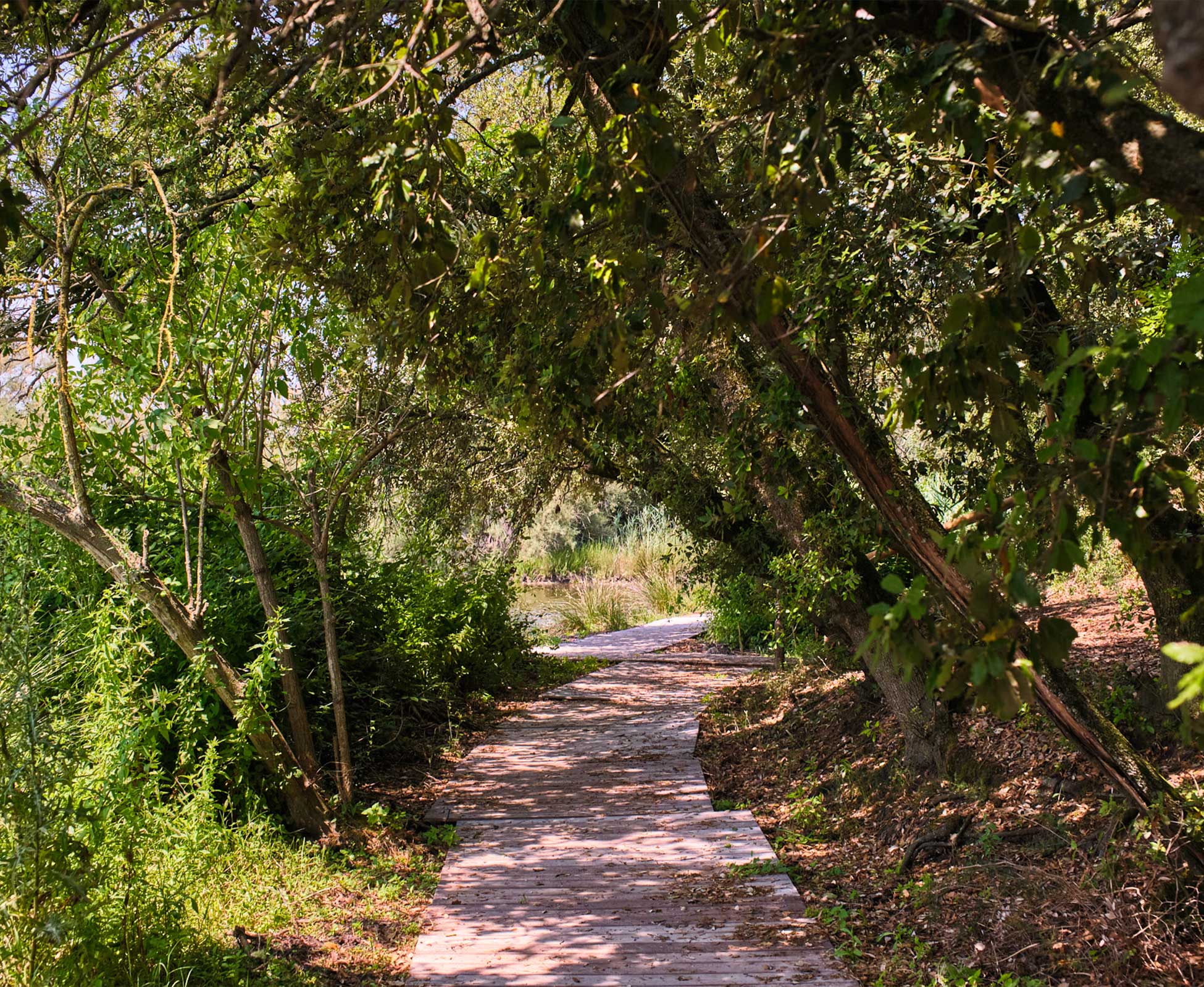 valgrande-img-13