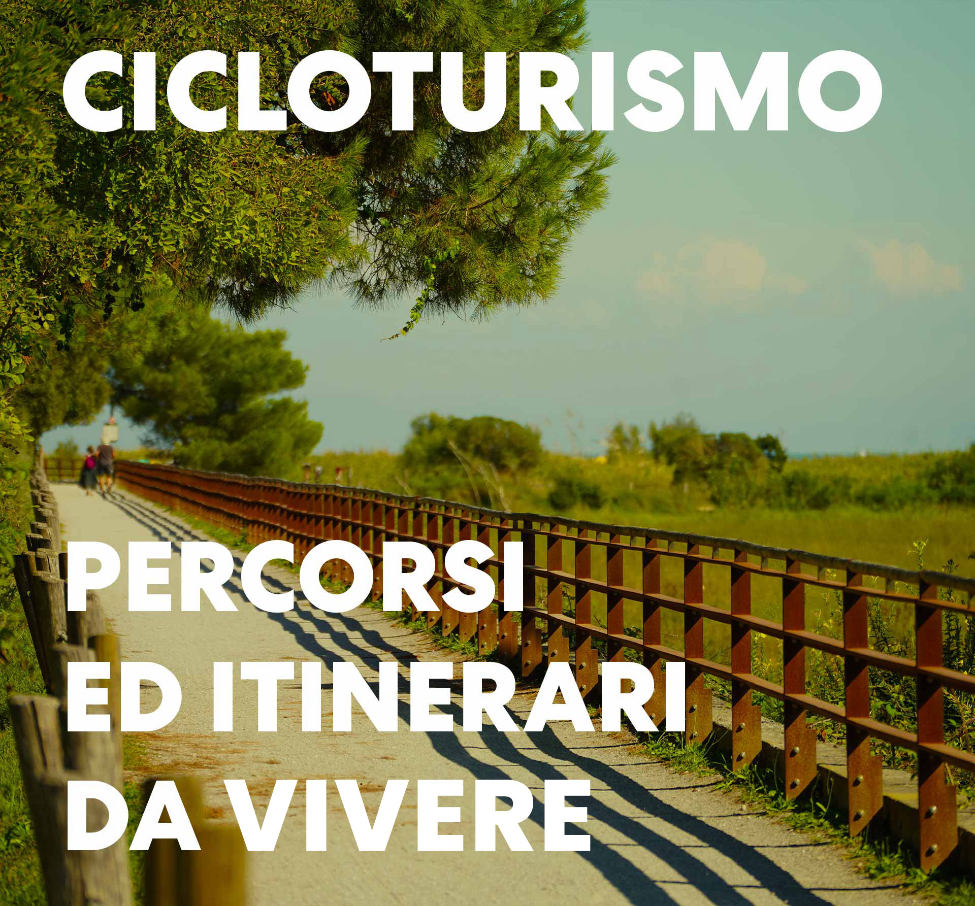 cover-ciclo-20