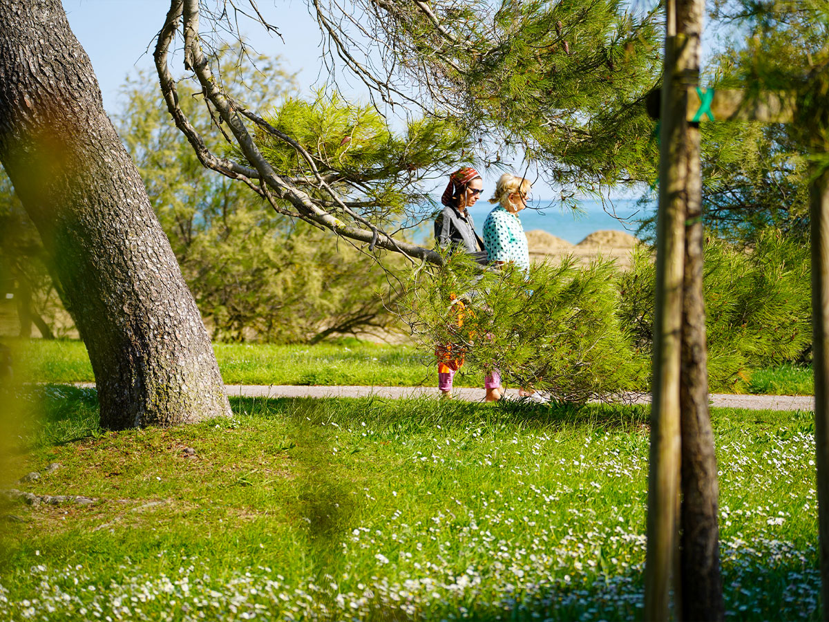 primavera-slide-02