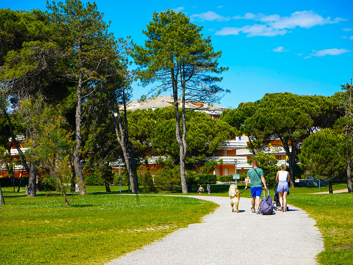 primavera-slide-05