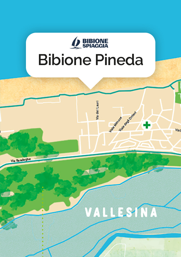 Bibione Pineda